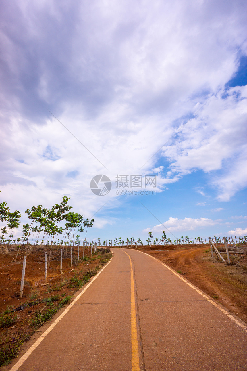 通向天空的公路场地树叶植物叶子地球花园晴天乡村黄色绿色图片