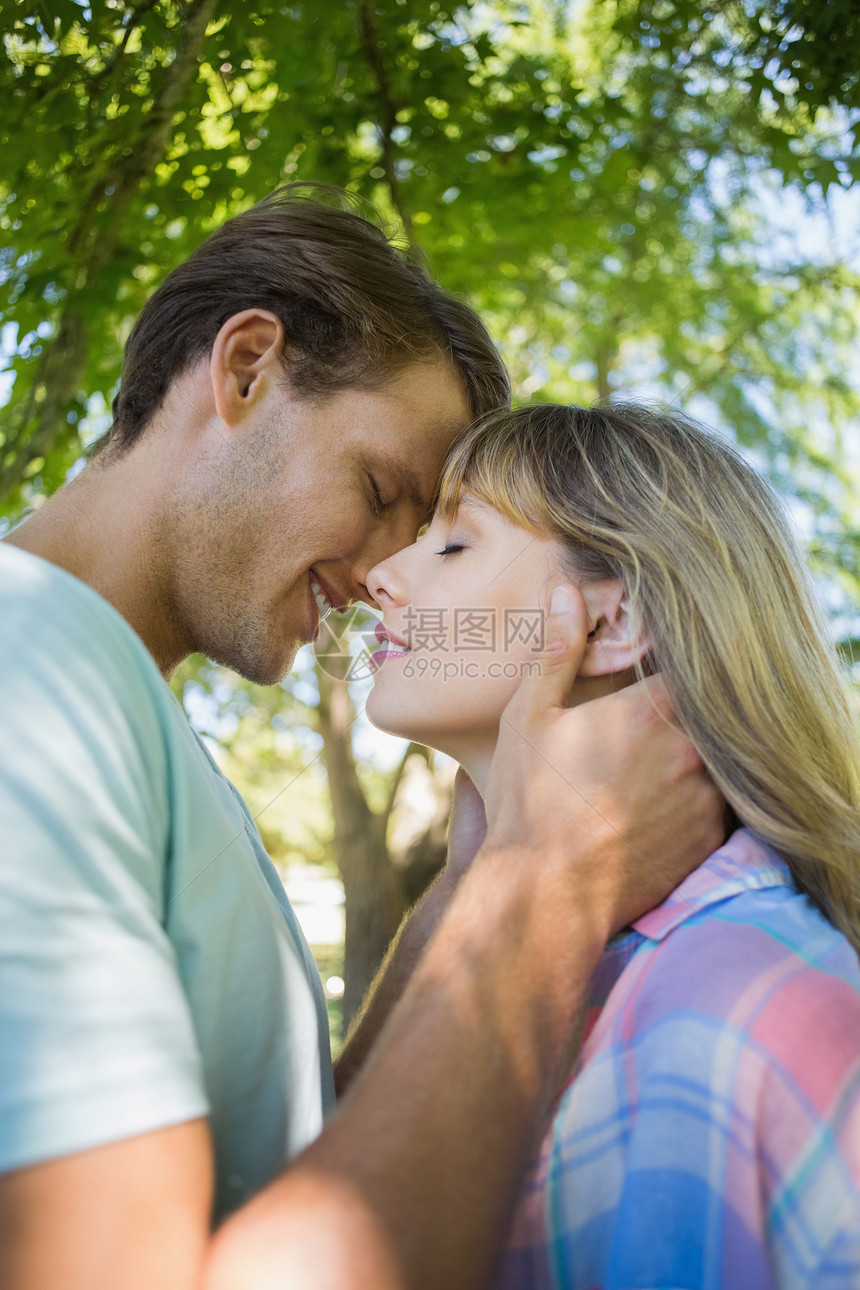 可爱笑笑的情侣在公园中拥抱衬衫农村女性夫妻绿地阳光女士男性感情快乐图片