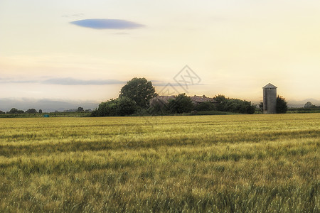 意大利农村被毁坏的农户住房小麦老家废墟农业老房子粮仓谷仓绿色天空黄色背景图片