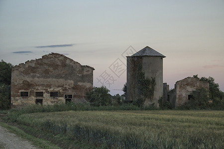 意大利农村被毁坏的农户住房家园谷仓绿色老家黄色天空小麦粮仓老房子农民背景图片