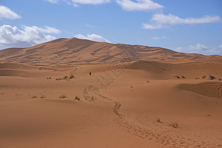 穿越撒哈拉的足迹背景图片