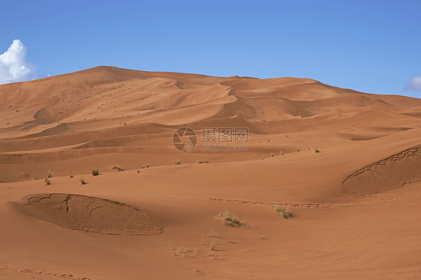 沙丘干旱蓝色红色天空衬套沙漠植被图片