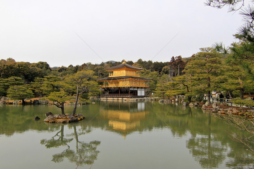 京角寺庙文化金子地标历史性旅游松树吸引力崇拜建筑学森林图片