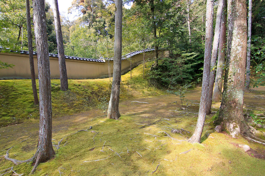 京角寺的风景地区宗教旅行地标文化公园绿色建筑学丛林花园足利图片