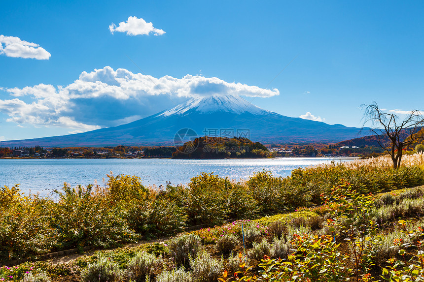 川口子湖富士山图片