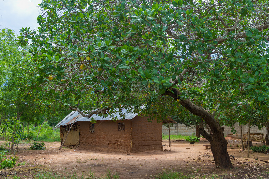 小型泥砖棚房子植物小屋村庄乡村图片