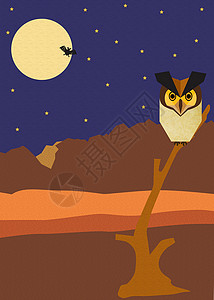 夜间沙漠荒地月亮猫头鹰星星背景图片