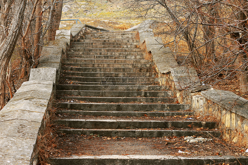 秋天公园前的旧石头楼梯风景建筑地面季节民众入口领导场景图片