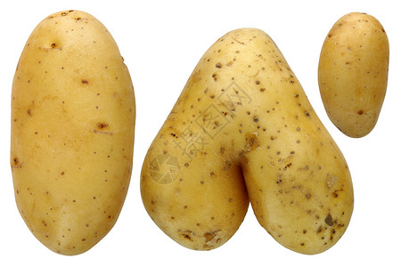 马铃薯蔬菜营养小菜修剪土豆背景图片