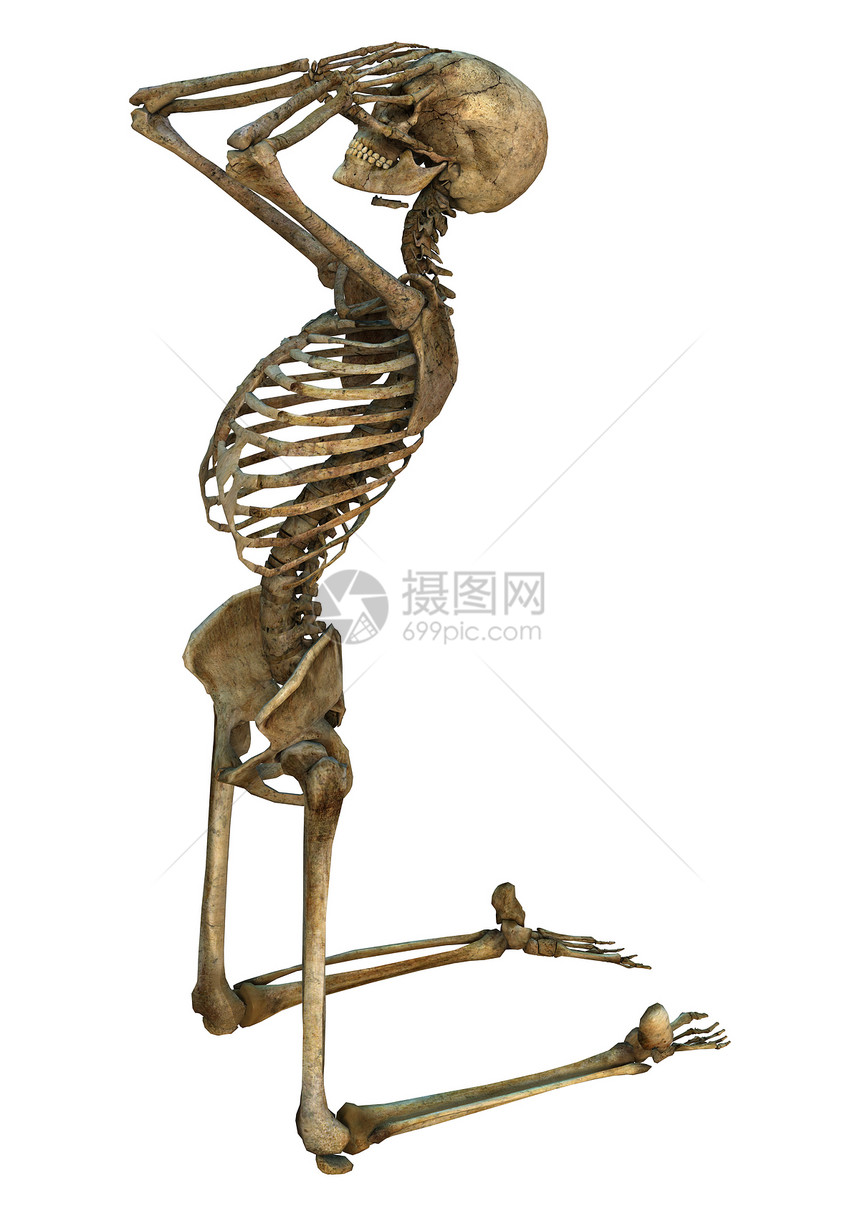 人类骨骼生物药品插图解剖学生物学苦难骨头疼痛悲哀身体图片