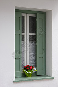 窗户红色百叶窗白色花朵绿色背景图片