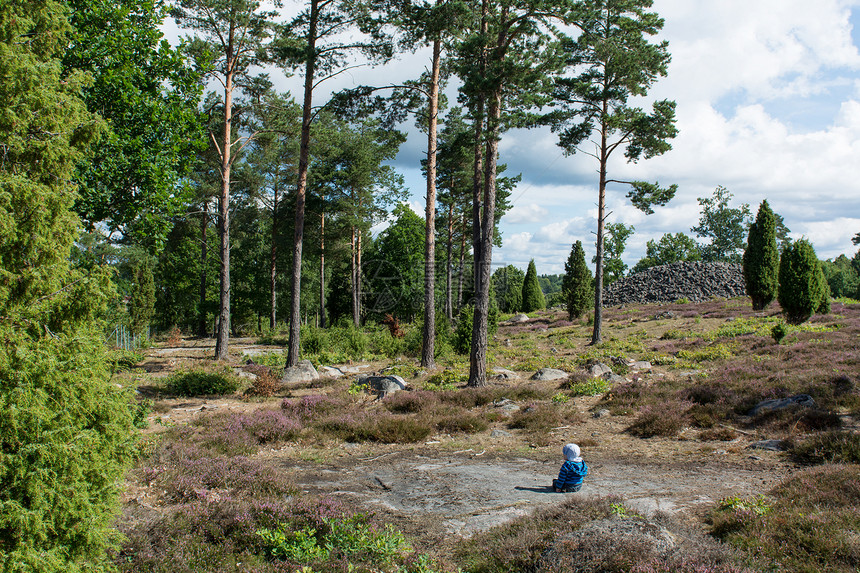 坐在瑞典森林里的婴儿图片