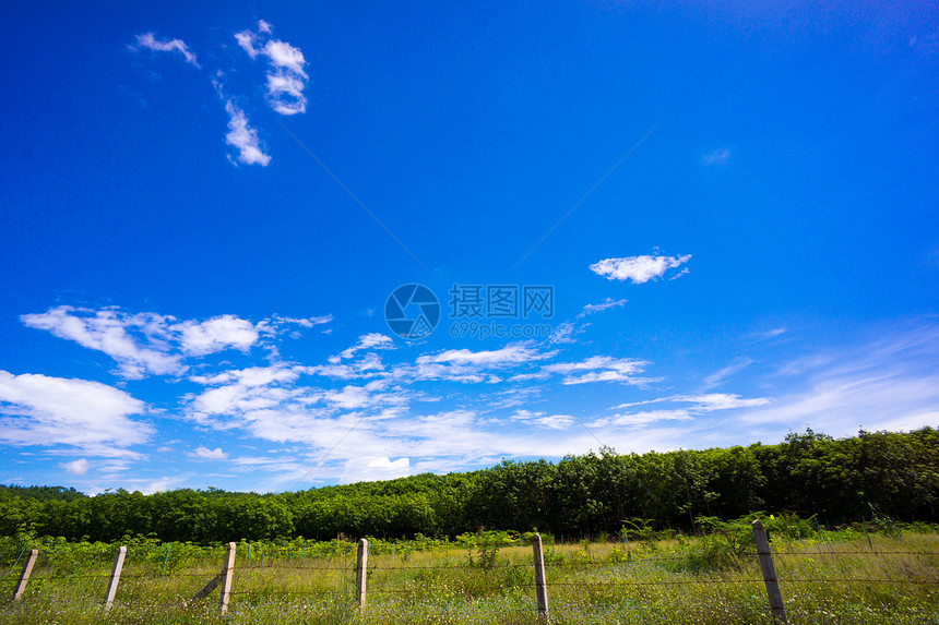 自然景观天空场地农村树叶晴天花园植物墙纸地球绿色图片