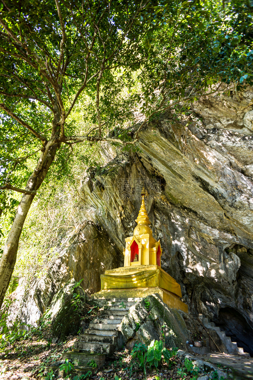 森林中的塔塔佛教徒洞穴花园宝塔叶子绿色植物寺庙森林墙纸图片