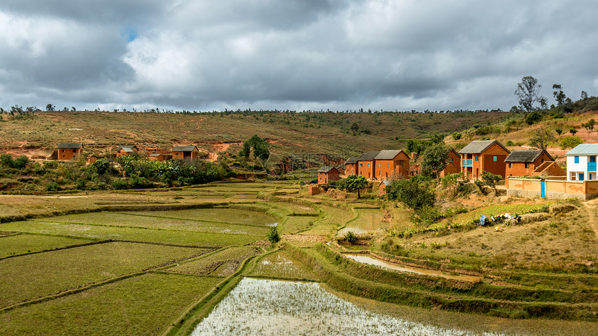 马达加斯加家庭砖房房子农业场地住宅爬坡高地家园绿色水稻图片