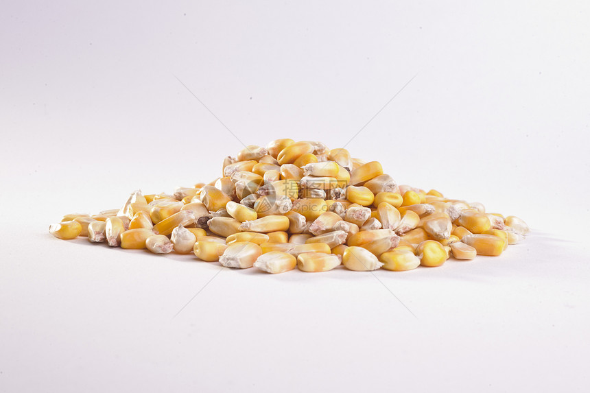 谷物 喂食玉米皮饲料黄色玉米谷类植物水平庄稼物体画幅种子图片