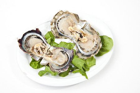 牡蛎柠檬生蚝白色海鲜贝类餐厅食物奢华海洋营养背景图片