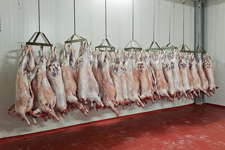 屠宰场肋骨肉类饮食生食饮料红肉肉柜食物猪肉牛肉背景图片