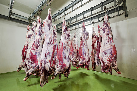 动物肉屠宰场动物猪肉食物行业饮食替代饮料牛肉生食食品背景