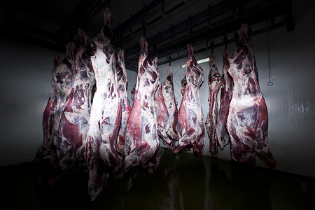 肉加工厂屠宰场生食食物牛肉食品肉柜肋骨行业饮食肉类红肉背景