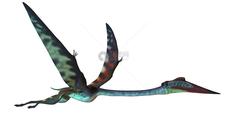 配置文件动物爬虫蜥蜴灭绝生物怪物飞行羽毛食肉插图图片