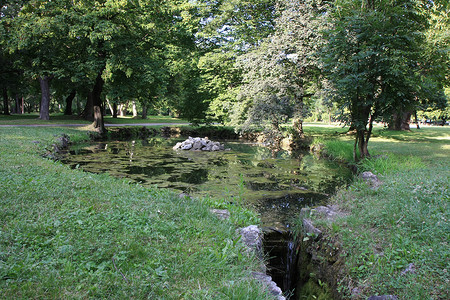 公园中的池塘绿色树木石头树叶荷花野餐森林背景图片