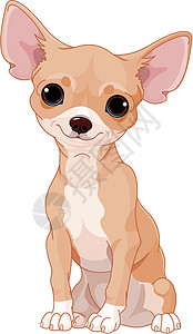 楚索瓦亚奇瓦亚州婴儿快乐犬类插图小狗艺术艺术品幸福绘画卡通片插画