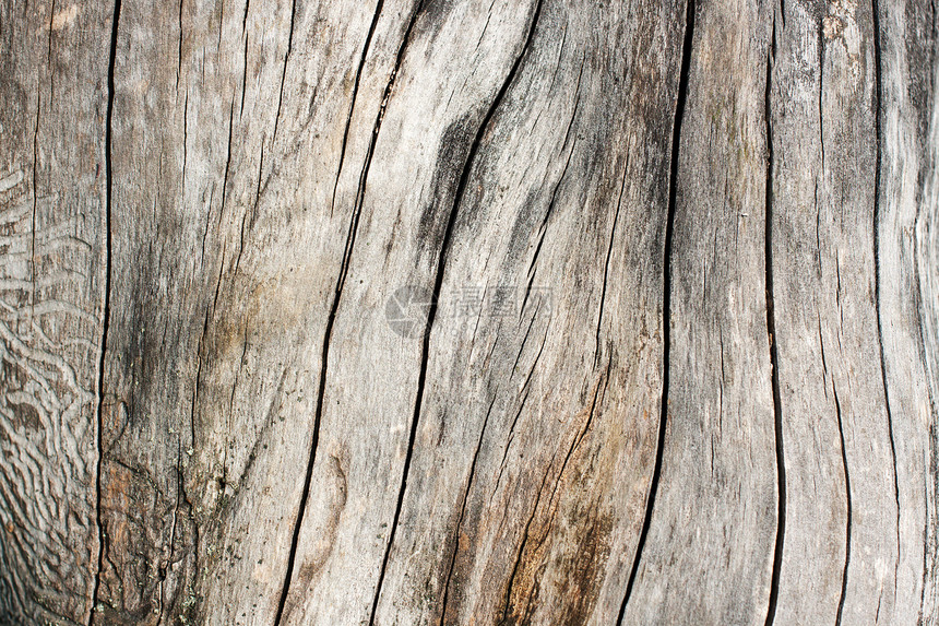 肮脏的旧木木木本底木板框架粮食硬木边界木头风化灰色栅栏白色图片