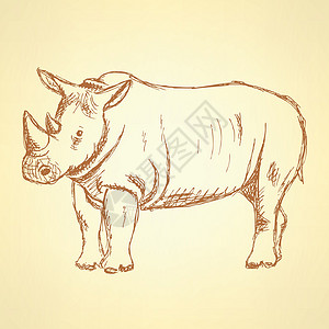 箭头犀利 矢量老背景插图荒野雕刻卡通片艺术喇叭野生动物犀牛蚀刻眼睛背景图片