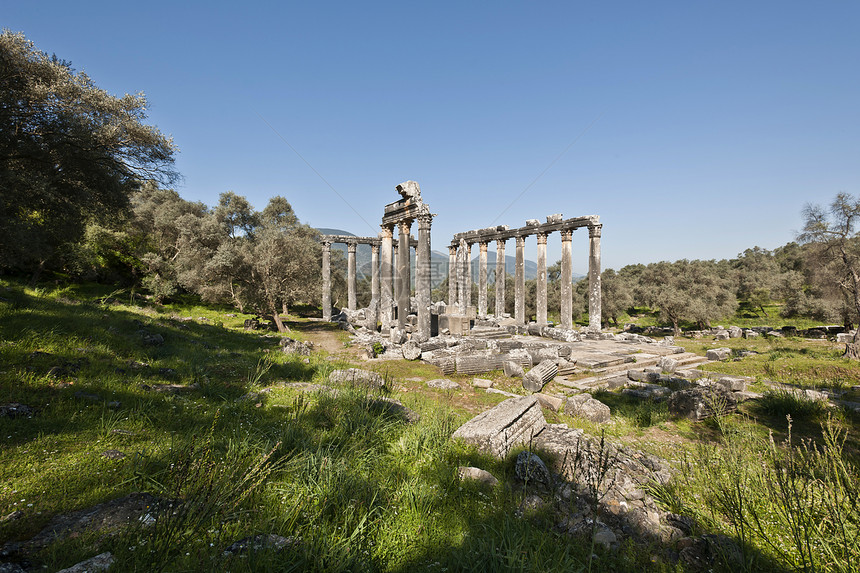 Euromos 爱爱会土耳其考古学大理石历史火鸡寺庙古物建筑目的地文明结构图片