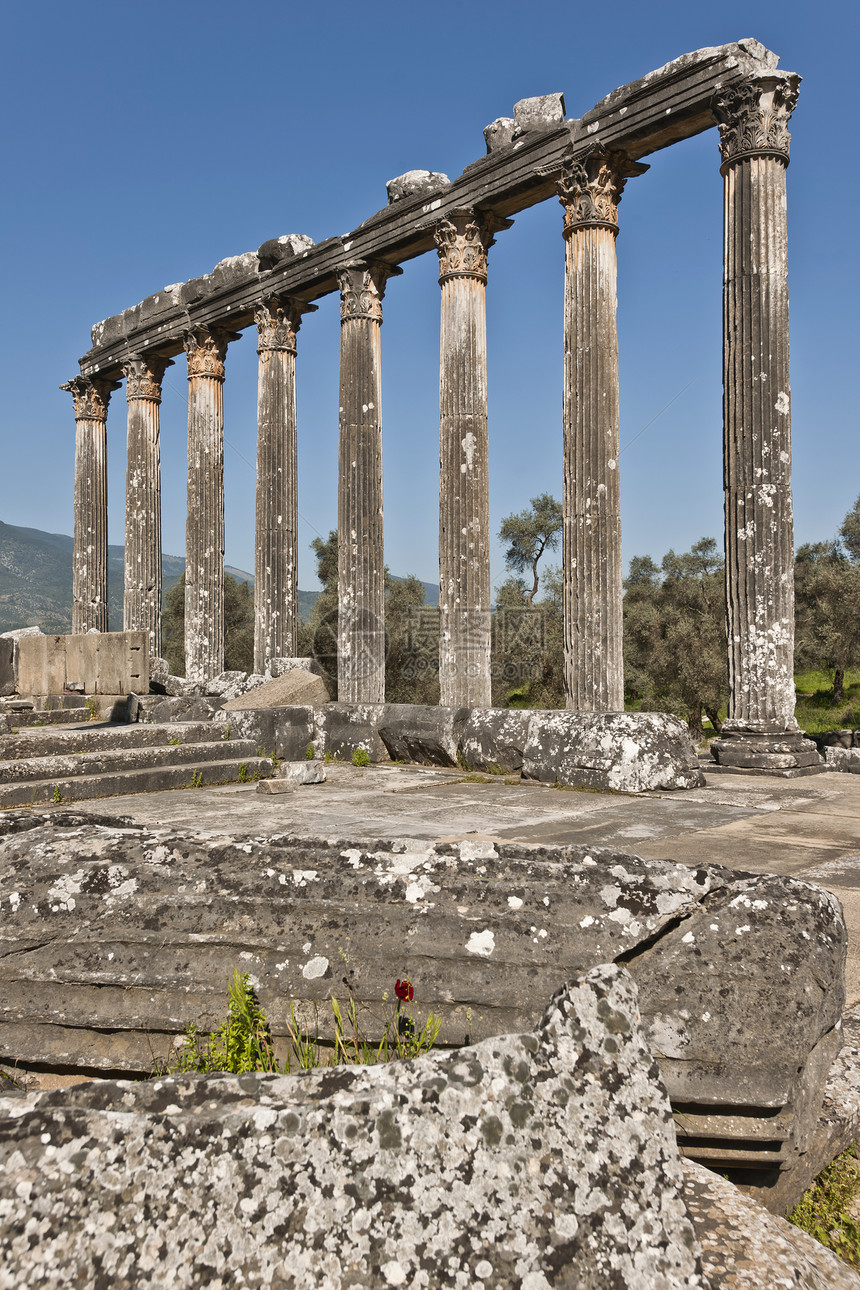 Euromos 爱爱会土耳其火鸡历史古物寺庙目的地大理石旅游建筑考古学水平图片