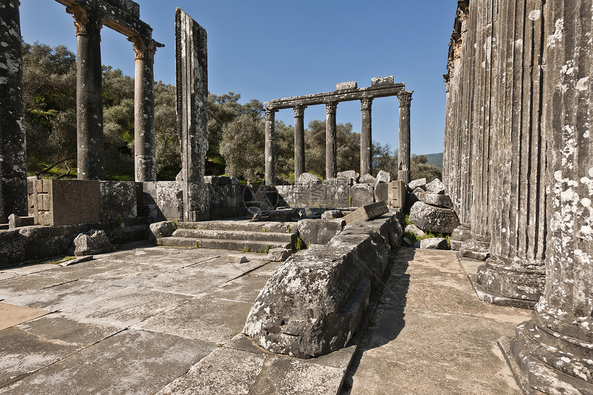 Euromos 爱爱会土耳其建筑考古学目的地水平历史大理石结构旅游火鸡文明图片