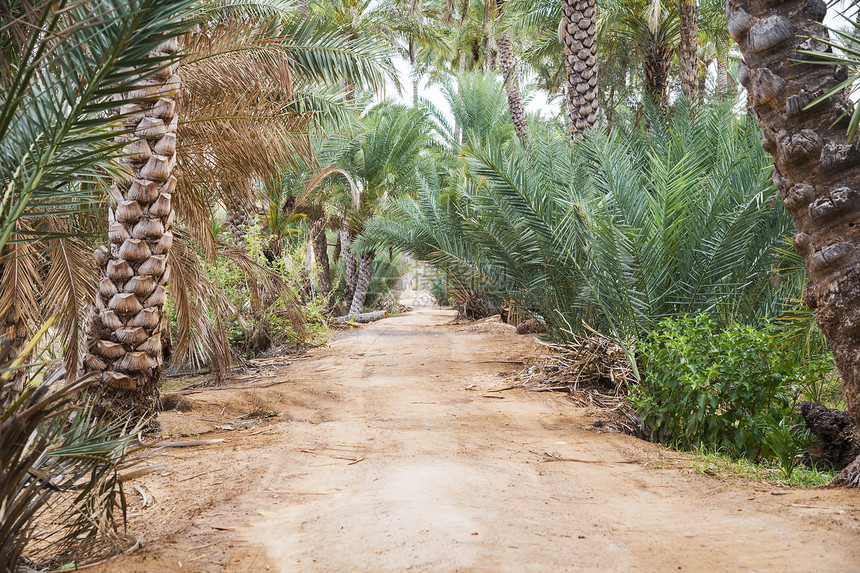 Al Haway 阿曼绿洲旅游沙布天空旱谷沙漠绿色棕榈植物蓝色热带图片