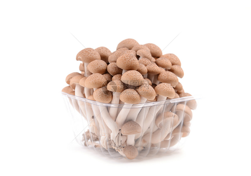 与世隔绝的芝麻蘑菇蔬菜营养异国美食白色杂货店蘑菇情调食物棕色图片