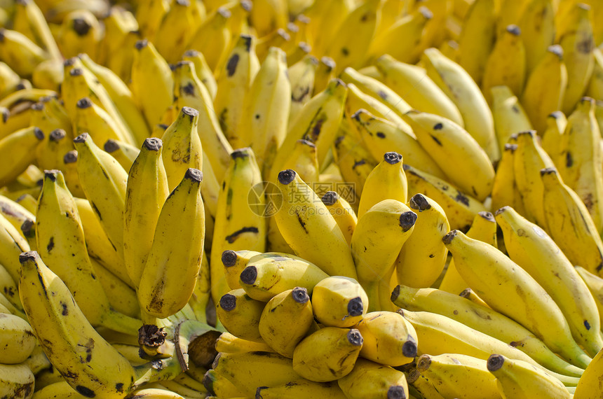 在Asia市场 许多一群成熟的香蕉图片