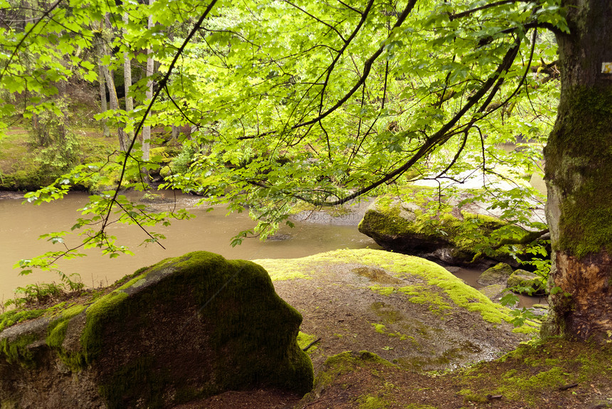 登山之旅 德国戈德斯蒂格牧歌爬山花岗岩山涧山脉踪迹高地旅行保护区自然公园图片