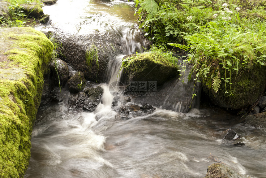 自然保护区花岗岩踪迹高地爬坡岩石牧歌山涧苔藓旅行树木图片