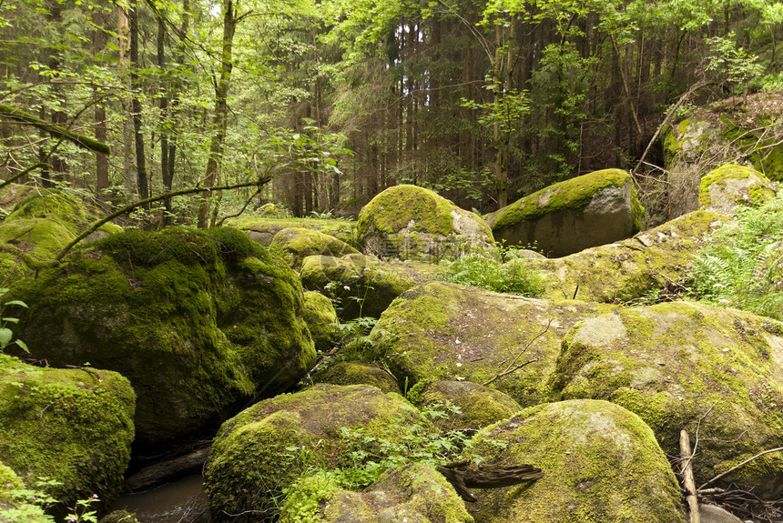自然保护区保护区高地溪流爬山踪迹牧歌岩石树木旅行爬坡图片