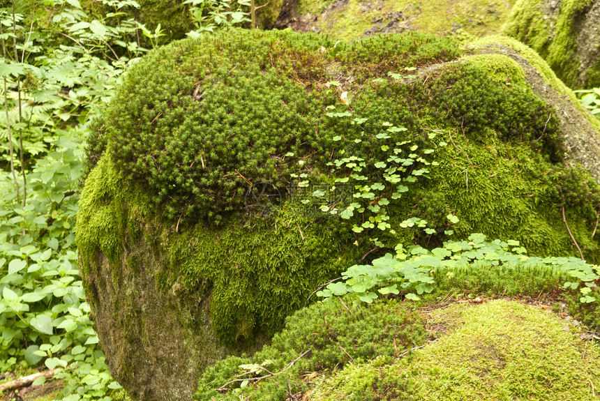 自然保护区高地山涧旅行岩石爬山花岗岩自然公园木头牧歌爬坡图片