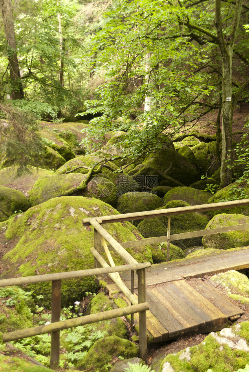 自然保护区岩石爬山自然公园苔藓溪流爬坡山涧踪迹树木森林图片