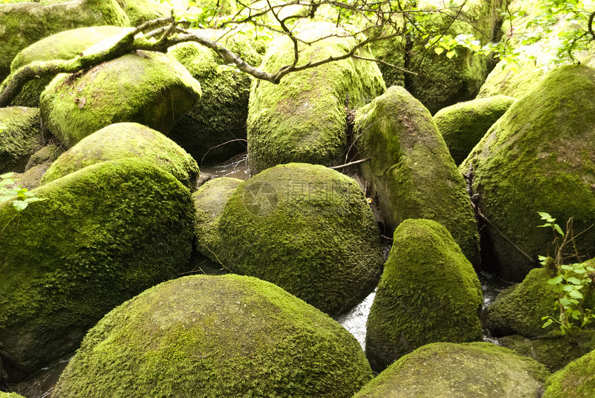 自然保护区山涧木头苔藓旅行森林爬山岩石花岗岩高地爬坡图片