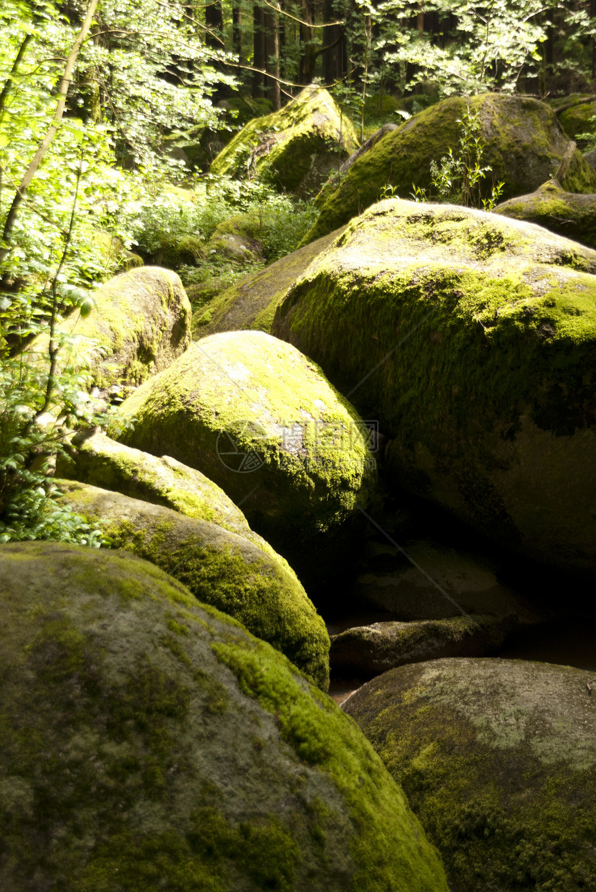 自然保护区自然公园高地踪迹旅行爬坡木头山涧牧歌岩石森林图片