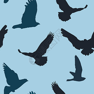 燕窝银耳矢量鸟类背景无缝模式尾巴青鸟电线鸟巢鸟儿航班收藏黑与白鸟笼猫头鹰设计图片