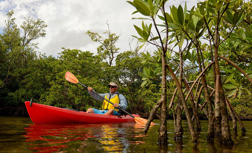 红色皮艇和人闲暇荒野乐趣冒险划桨运动员叶子淡水热带旅行图片