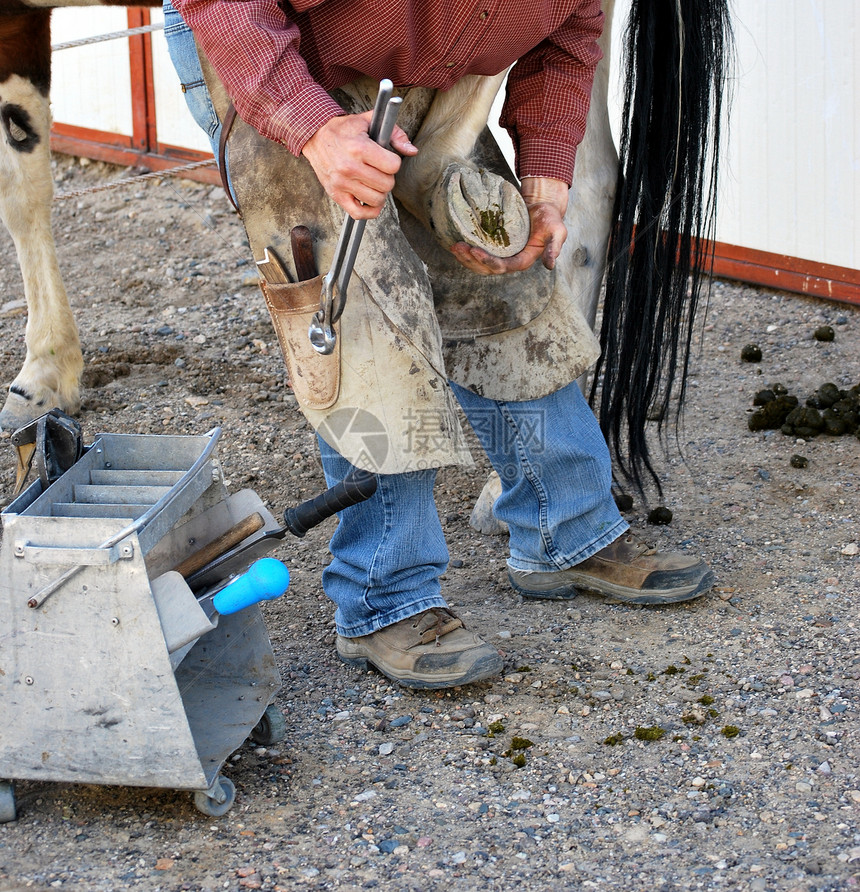 男性更远牧场工艺马蹄铁匠工具动物工人职业工作马蹄铁图片