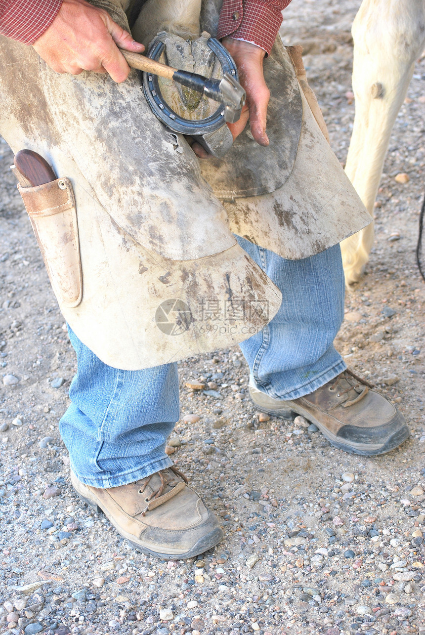 男性更远马蹄牧场马蹄铁工具动物工人工艺铁匠哺乳动物工作图片