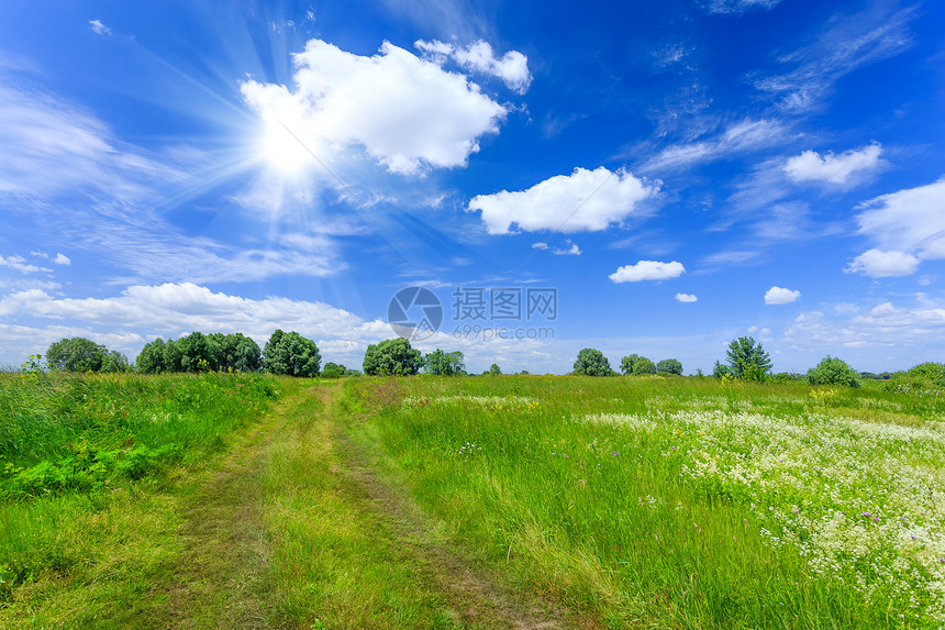 草地草药蓝色晴天绿色春景风景场景牧场农村园林图片