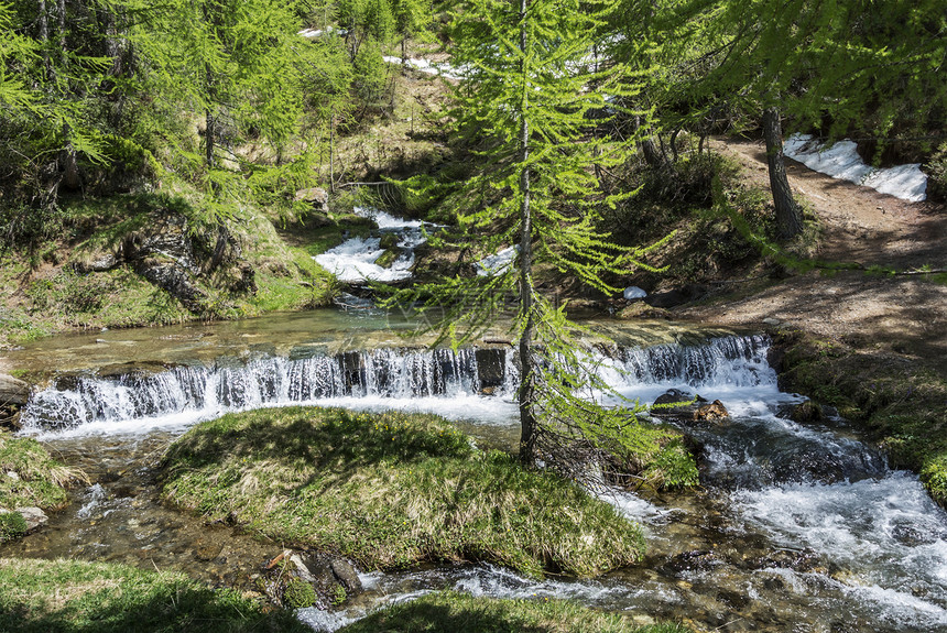 Devero Alp森林的河流钓鱼急流旅游健走草地山路旅行图片