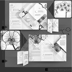商业宣传手册模板设计打印小册子白色推介会插图折叠草图植物群文档杂志背景图片
