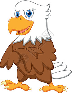 装饰可爱鹰漫画冒充吉祥物荒野快乐翅膀白头鹰动物插图捕食者绘画背景图片